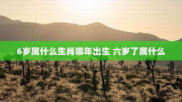 6岁属什么生肖哪年出生 六岁了属什么