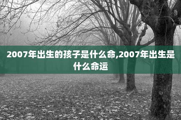 2007年出生的孩子是什么命,2007年出生是什么命运
