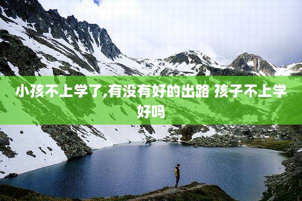 小孩不上学了,有没有好的出路 孩子不上学好吗