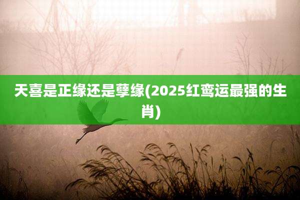 天喜是正缘还是孽缘(2025红鸾运最强的生肖)