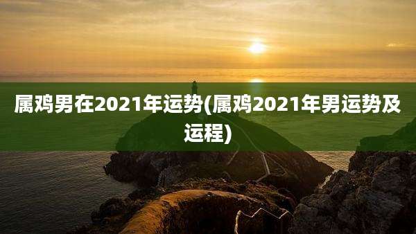 属鸡男在2021年运势(属鸡2021年男运势及运程)