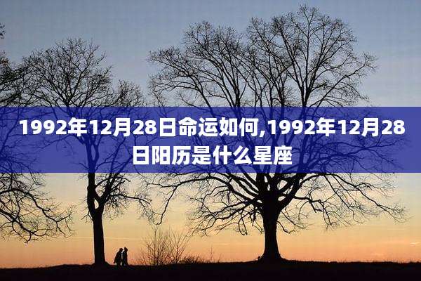 1992年12月28日命运如何,1992年12月28日阳历是什么星座
