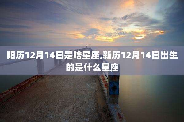 阳历12月14日是啥星座,新历12月14日出生的是什么星座