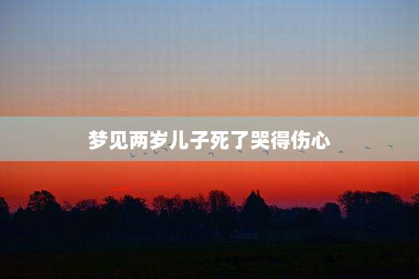 梦见两岁儿子死了哭得伤心