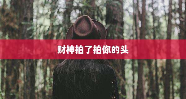 财神拍了拍你的头