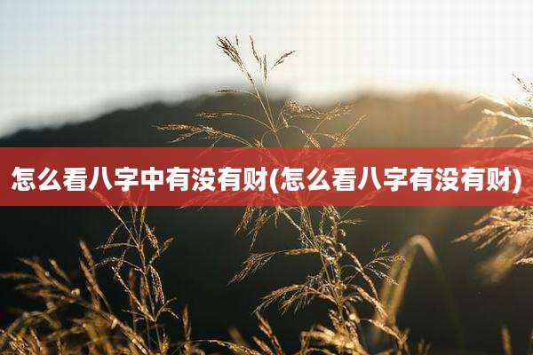 怎么看八字中有没有财(怎么看八字有没有财)