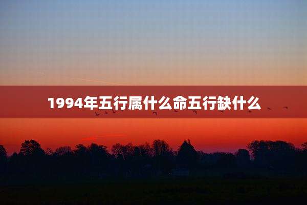 1994年五行属什么命五行缺什么