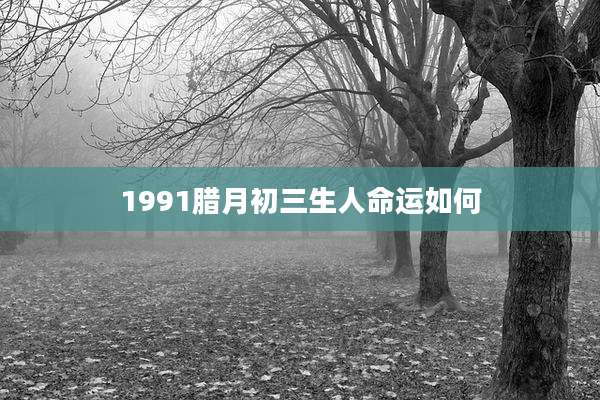 1991腊月初三生人命运如何