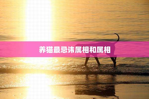养猫最忌讳属相和属相