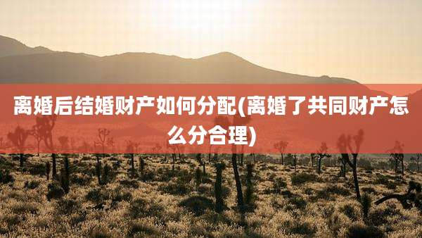 离婚后结婚财产如何分配(离婚了共同财产怎么分合理)