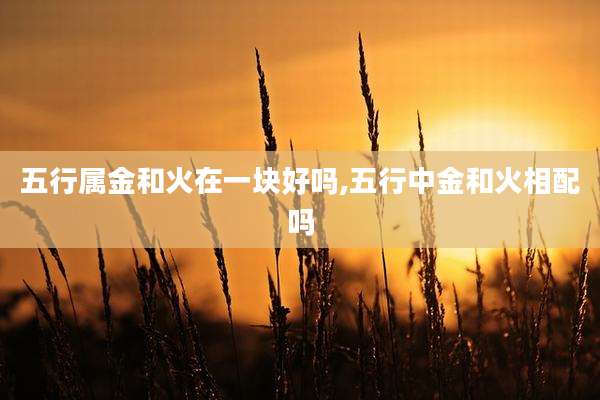 五行属金和火在一块好吗,五行中金和火相配吗