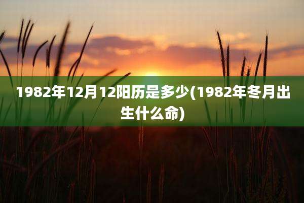 1982年12月12阳历是多少(1982年冬月出生什么命)