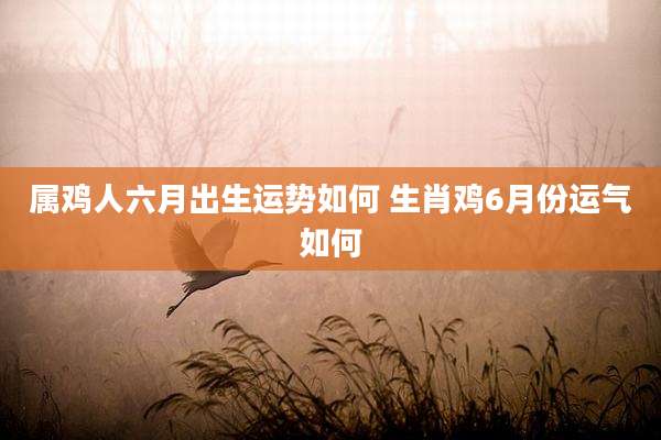 属鸡人六月出生运势如何 生肖鸡6月份运气如何