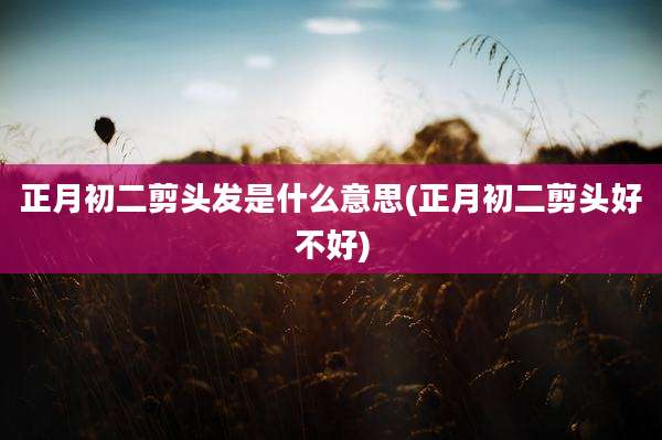 正月初二剪头发是什么意思(正月初二剪头好不好)
