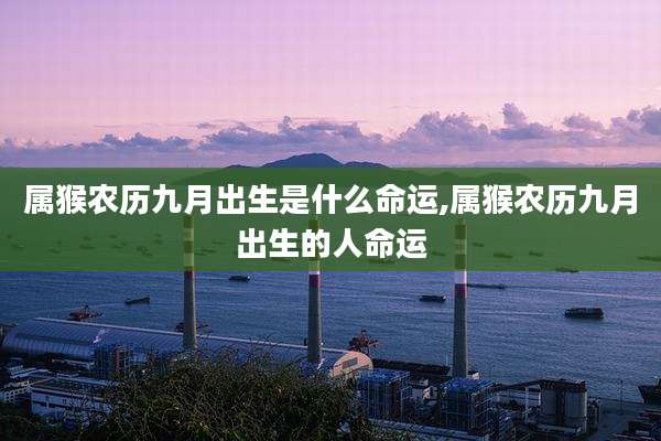 属猴农历九月出生是什么命运,属猴农历九月出生的人命运