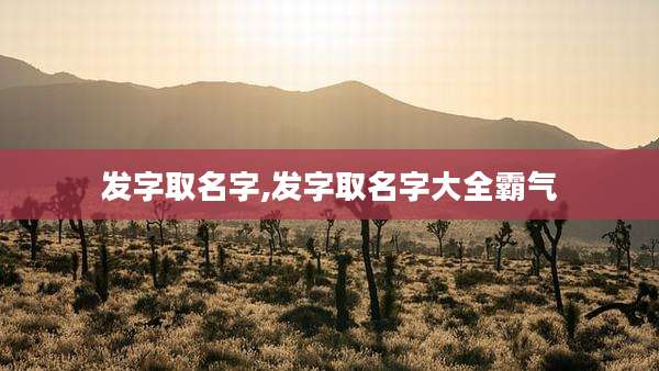 发字取名字,发字取名字大全霸气