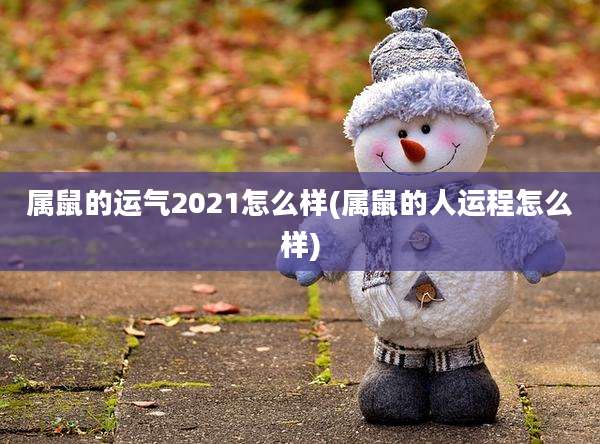 属鼠的运气2021怎么样(属鼠的人运程怎么样)