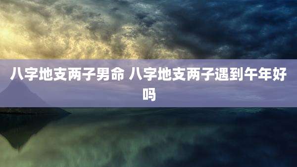 八字地支两子男命 八字地支两子遇到午年好吗