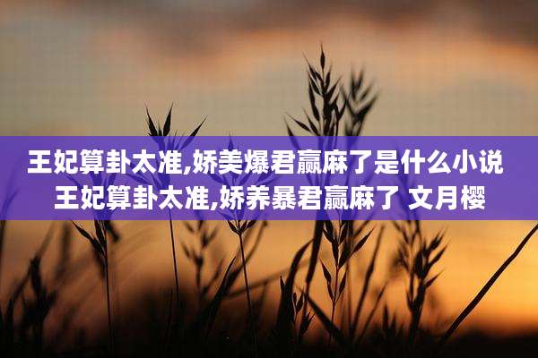 王妃算卦太准,娇美爆君赢麻了是什么小说 王妃算卦太准,娇养暴君赢麻了 文月樱