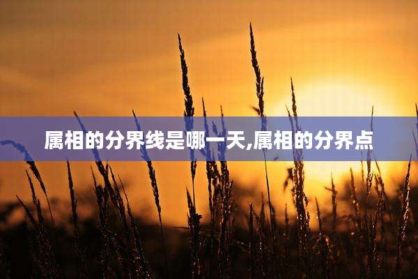 属相的分界线是哪一天,属相的分界点