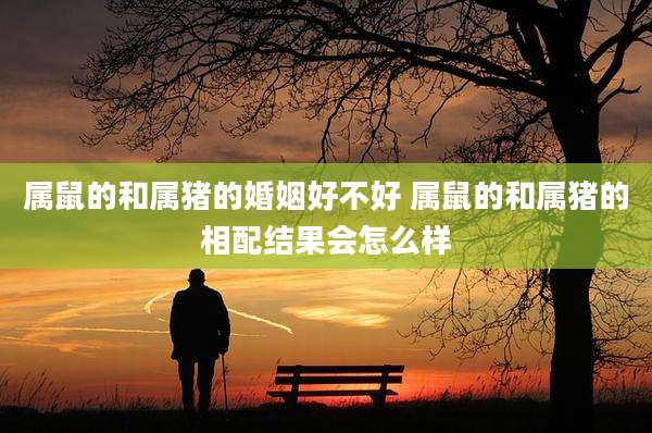 属鼠的和属猪的婚姻好不好 属鼠的和属猪的相配结果会怎么样
