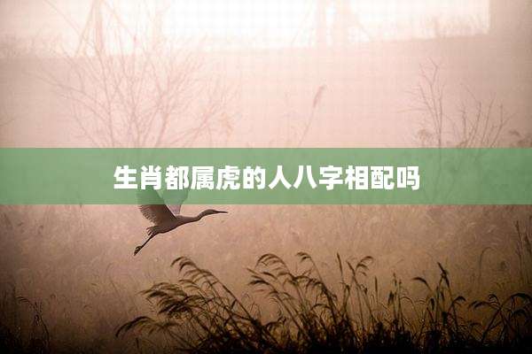 生肖都属虎的人八字相配吗