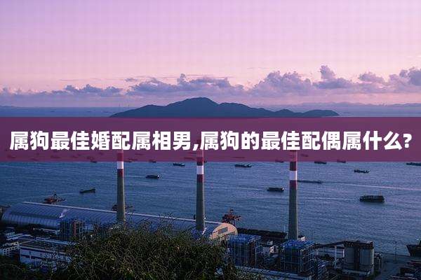 属狗最佳婚配属相男,属狗的最佳配偶属什么?