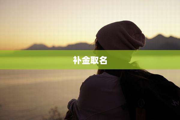 补金取名