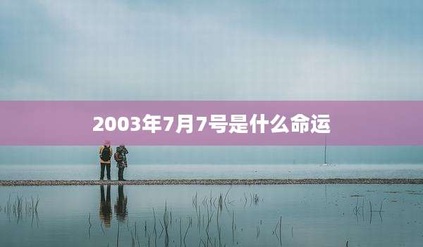 2003年7月7号是什么命运