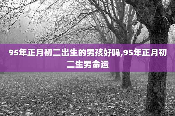 95年正月初二出生的男孩好吗,95年正月初二生男命运