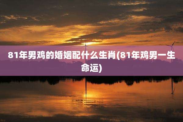 81年男鸡的婚姻配什么生肖(81年鸡男一生命运)