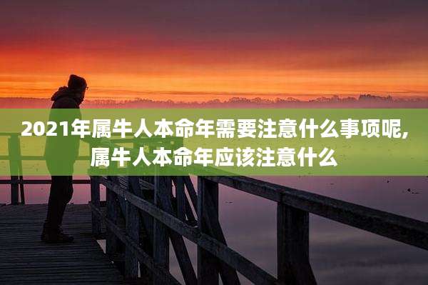 2021年属牛人本命年需要注意什么事项呢,属牛人本命年应该注意什么