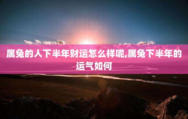 属兔的人下半年财运怎么样呢,属兔下半年的运气如何