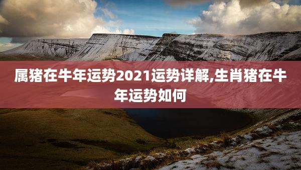 属猪在牛年运势2021运势详解,生肖猪在牛年运势如何