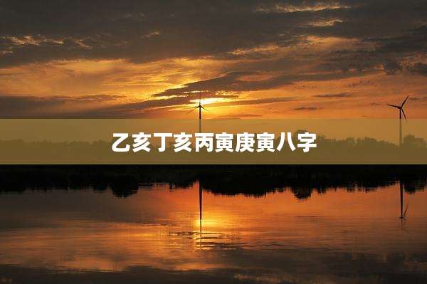 乙亥丁亥丙寅庚寅八字