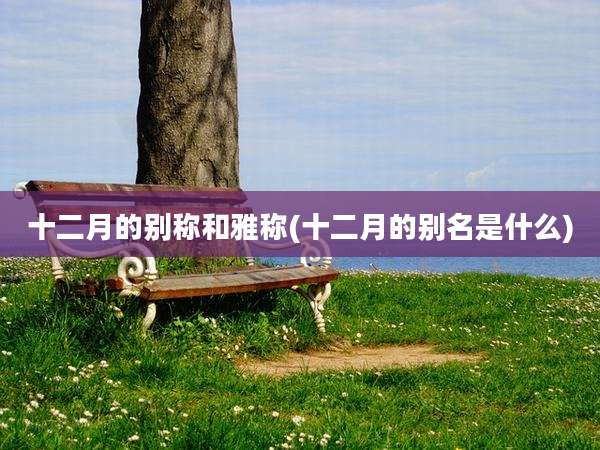 十二月的别称和雅称(十二月的别名是什么)