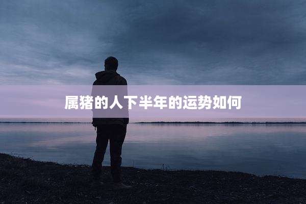 属猪的人下半年的运势如何