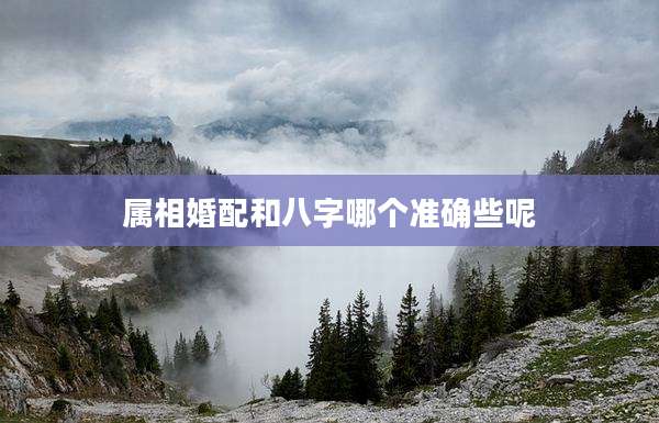属相婚配和八字哪个准确些呢