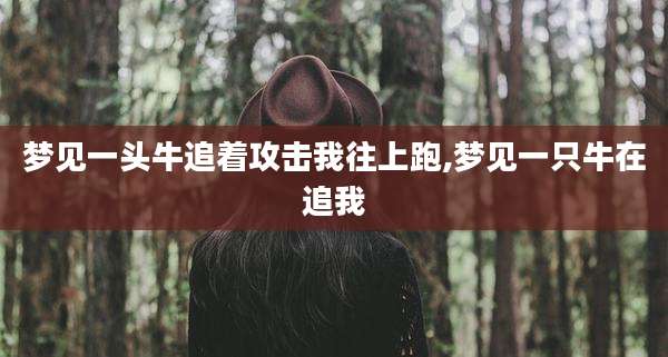 梦见一头牛追着攻击我往上跑,梦见一只牛在追我