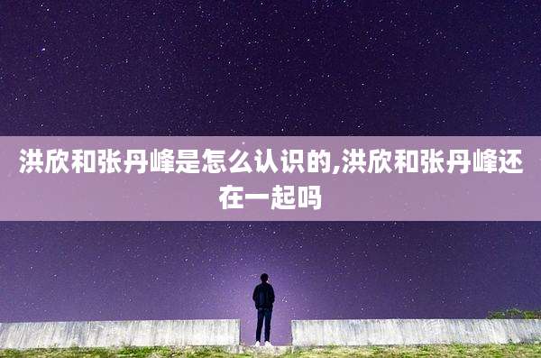 洪欣和张丹峰是怎么认识的,洪欣和张丹峰还在一起吗
