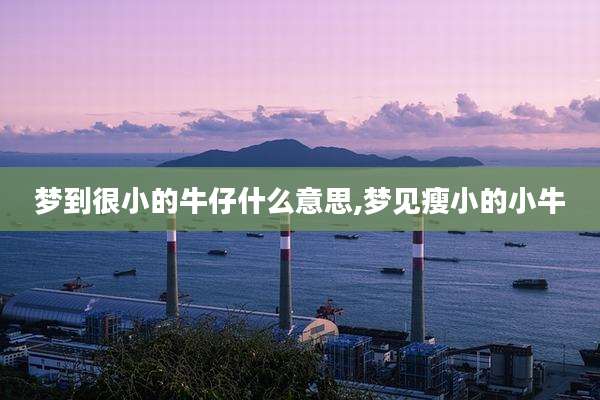 梦到很小的牛仔什么意思,梦见瘦小的小牛