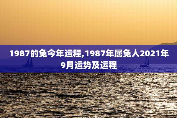 1987的兔今年运程,1987年属兔人2021年9月运势及运程