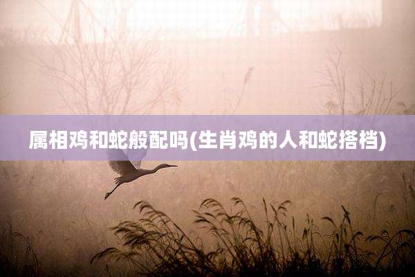 属相鸡和蛇般配吗(生肖鸡的人和蛇搭档)