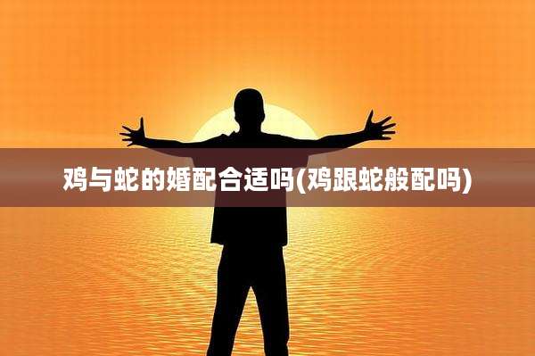 鸡与蛇的婚配合适吗(鸡跟蛇般配吗)