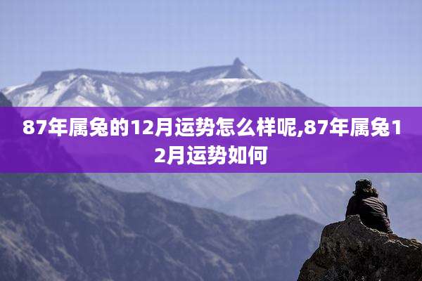 87年属兔的12月运势怎么样呢,87年属兔12月运势如何
