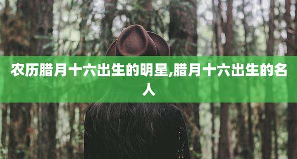农历腊月十六出生的明星,腊月十六出生的名人