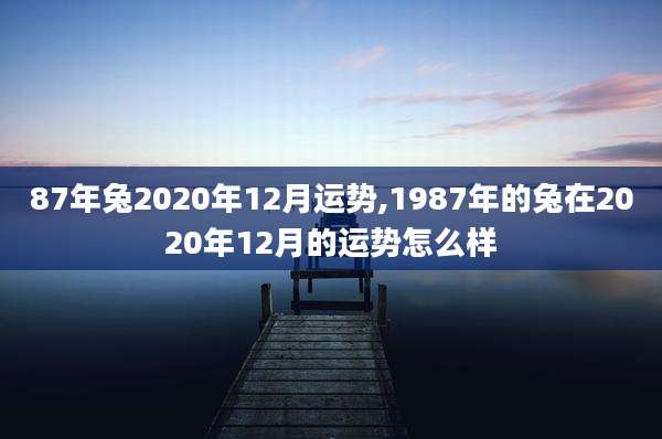 87年兔2020年12月运势,1987年的兔在2020年12月的运势怎么样