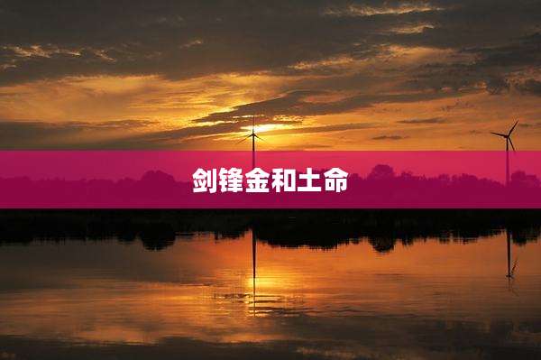 剑锋金和土命