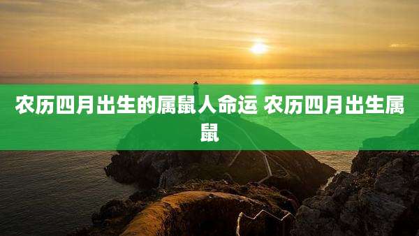 农历四月出生的属鼠人命运 农历四月出生属鼠
