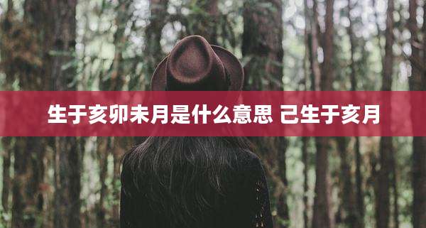 生于亥卯未月是什么意思 己生于亥月
